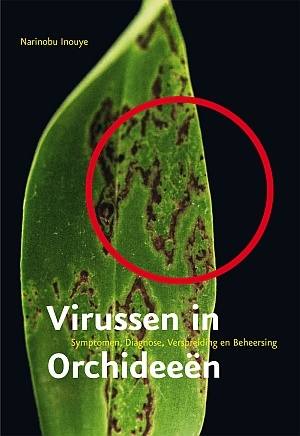 Virussen in orchideen, Inouye, 2001