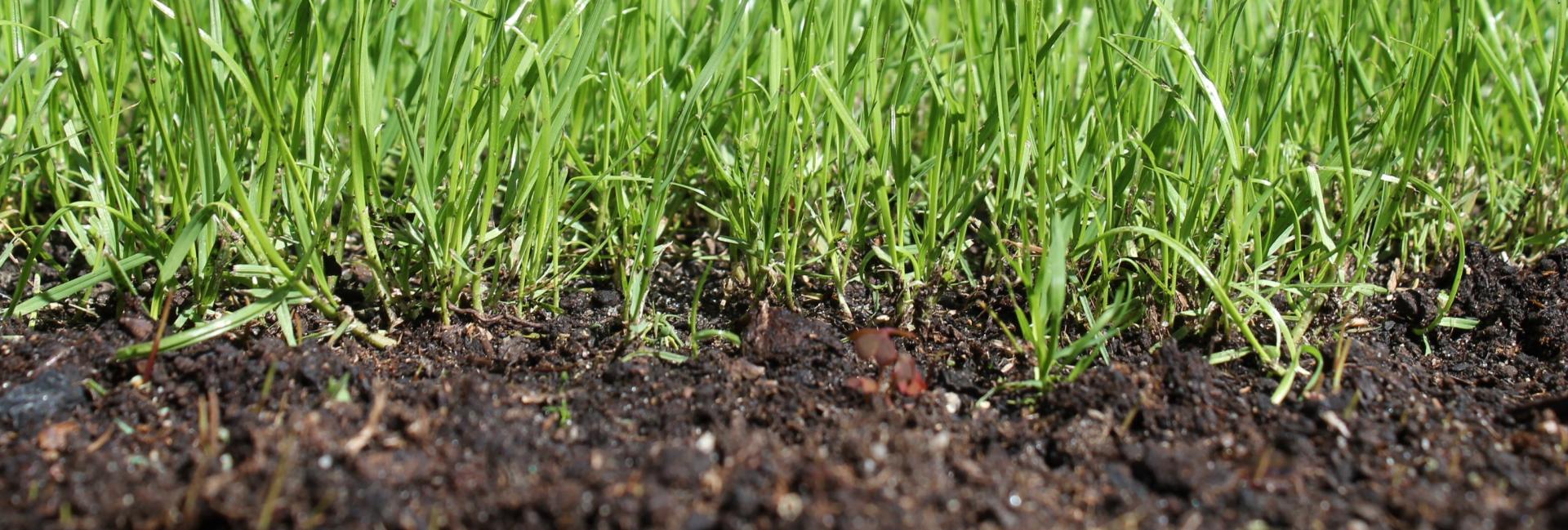 KNPV-Voorjaarsbijeenkomst 28 mei