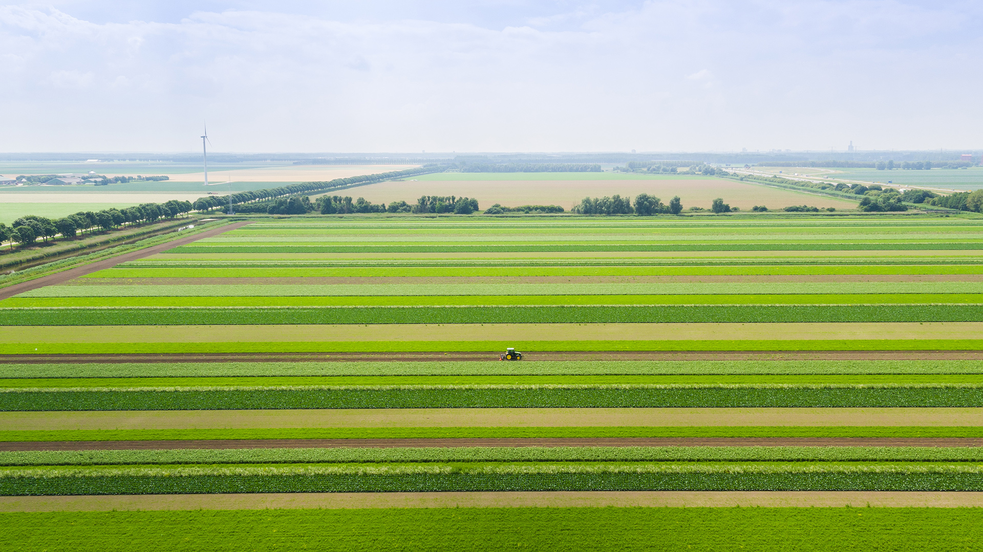 Integrated Crop Management - een systeemaanpak